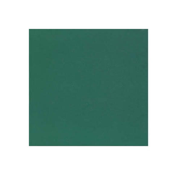 6" x 6" Magnetic Field Viewer Film