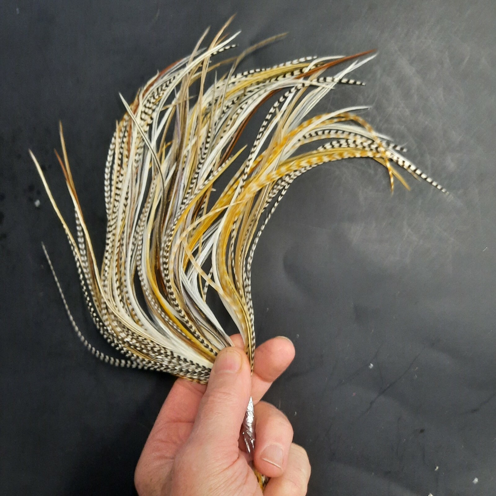 55 Whiting Metz DRY FLY SADDLE FEATHERS for FLY TYING ASST COLORS & SIZES