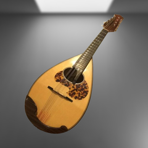Tsuneo Fujimaru mandolin Anno2005 ikegaku Scale 13.4 in eith Hard case Japan