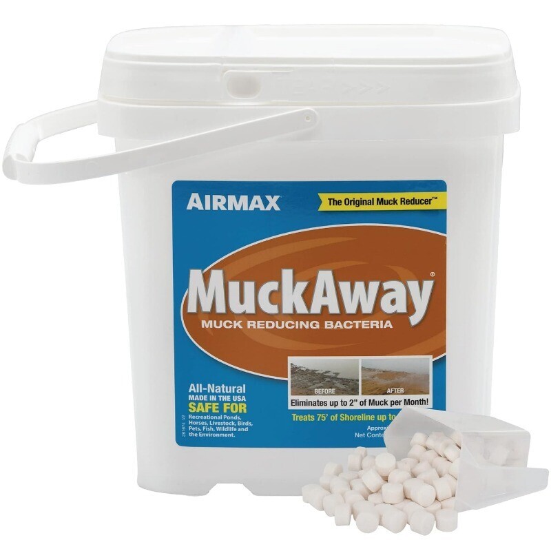 MuckAway Natural Beneficial Bacteria Outdoor Ponds Lakes Muck Sludge Noxious New