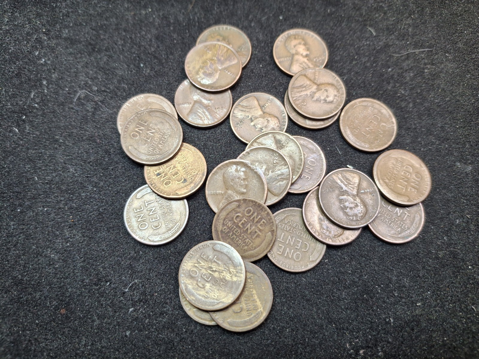 Half Roll of 1926-D Lincoln Wheat Cents! 25 coins! Semi-Key Dates!