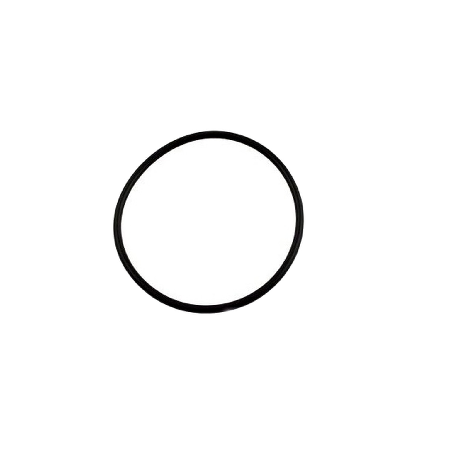 Pentair 350013 O-318 Replacement for WhisperFlo Pinnacle Pool Pump O-Ring Lid