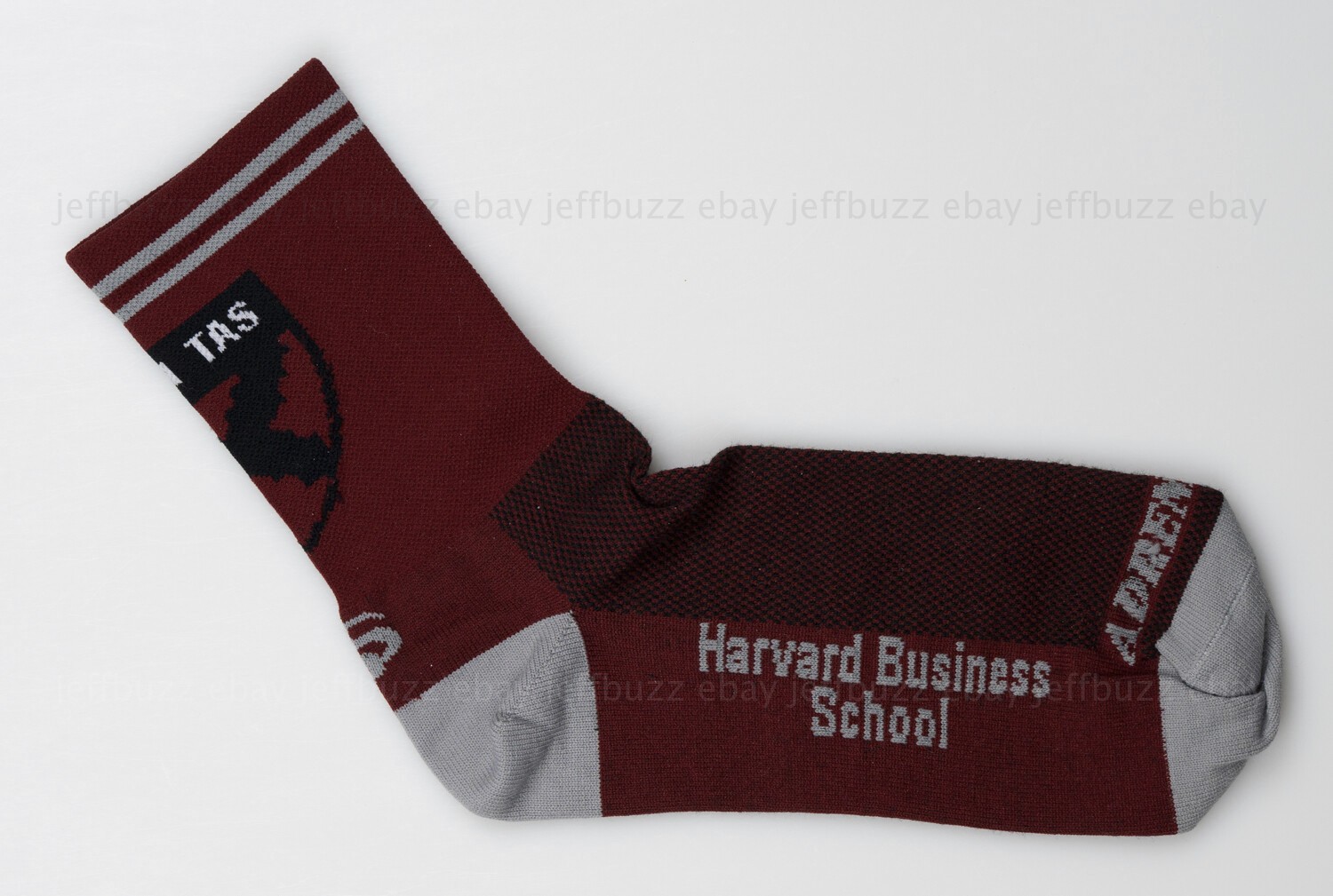 Harvard Business School College University Cycling Socks L-XL 10-13