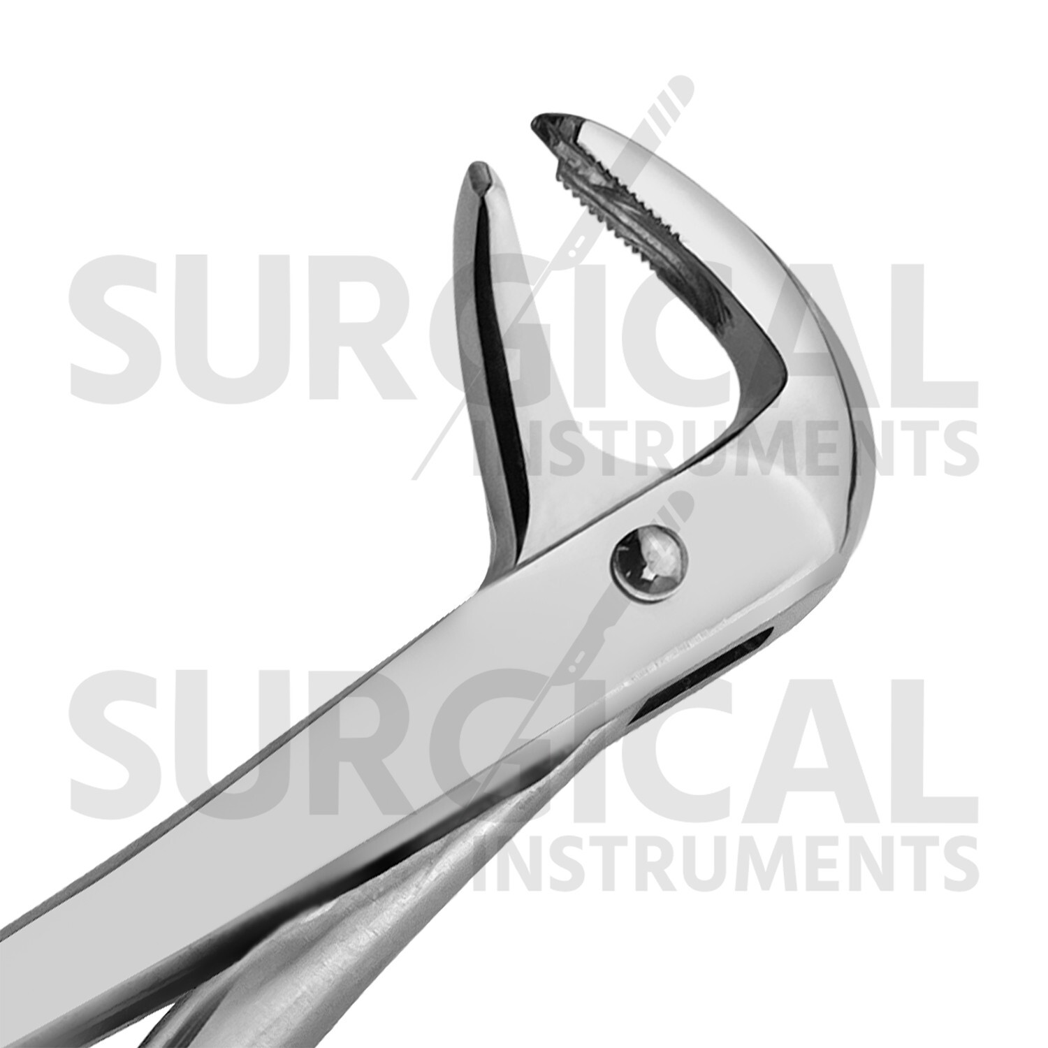 Heavy Duty Extraction Forceps #F4 Gold Hollow Python Grip Handle German Grade
