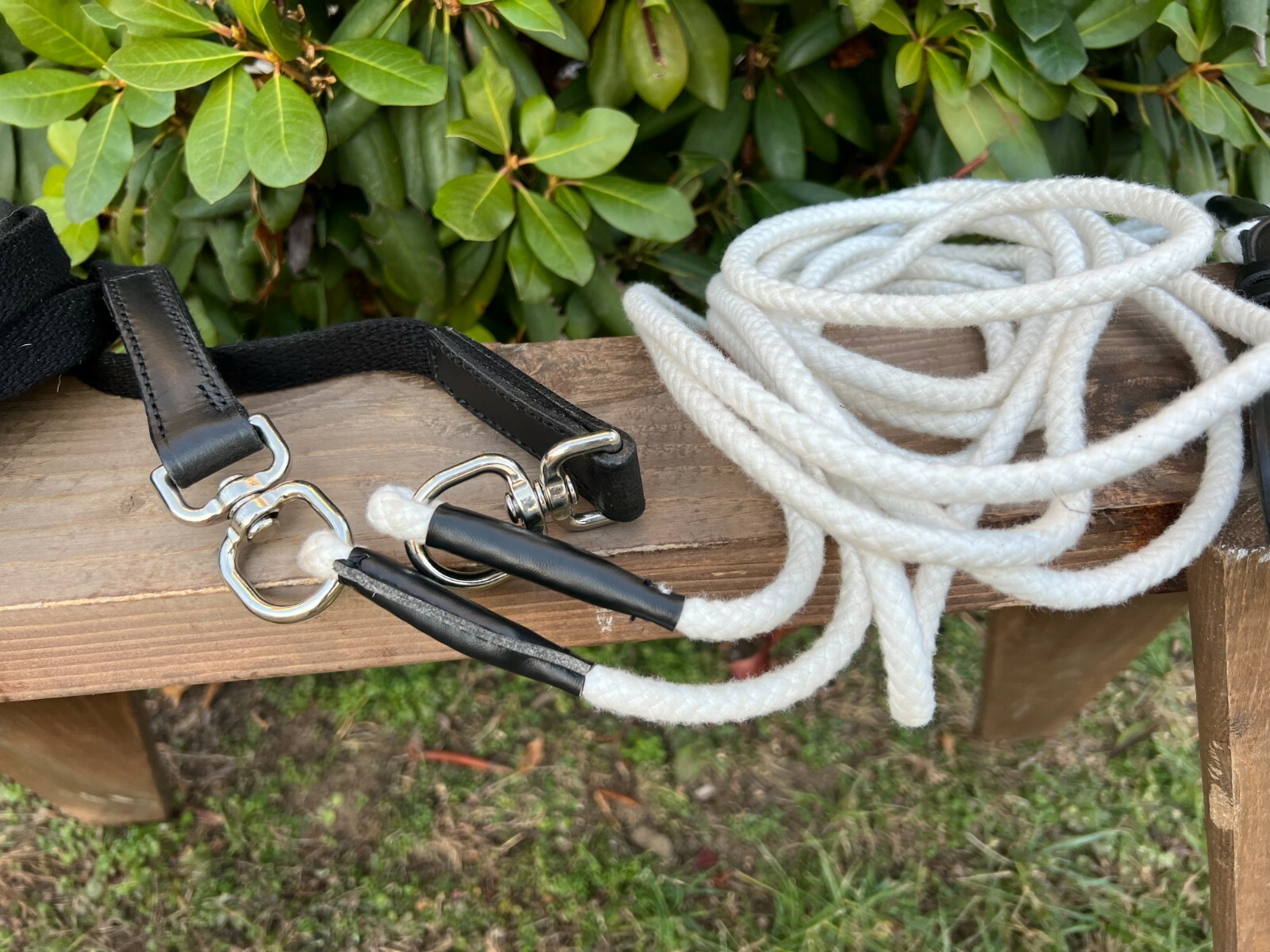 Leaders Training Reins