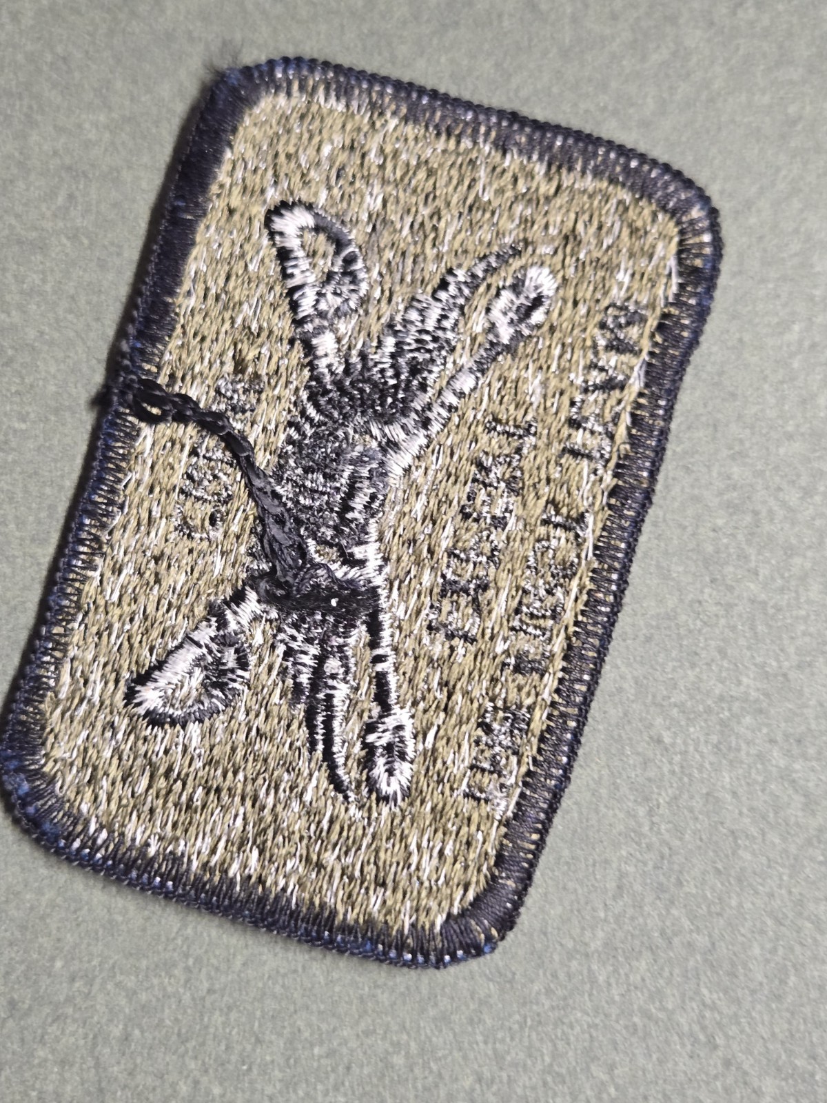 1st Cavalry Division First Team Expert Crew Subdued Patch (215)