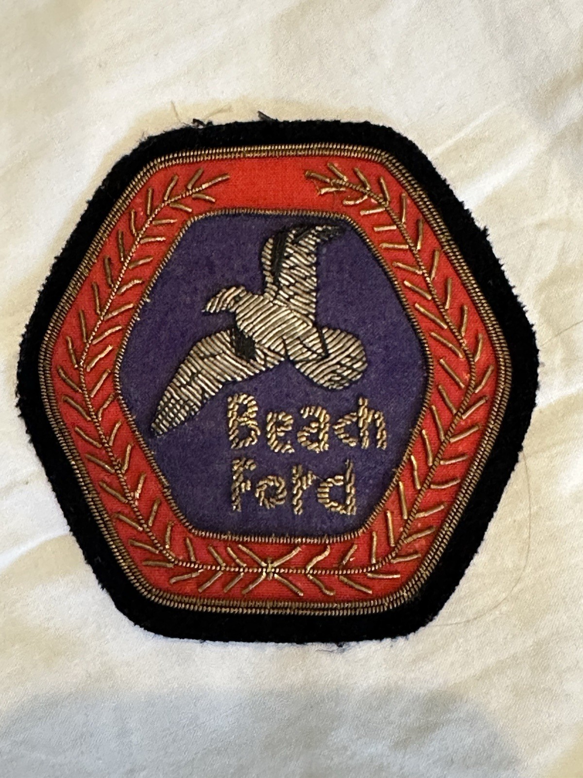 VTG Beach Ford Bird Patch Red Blue RARE