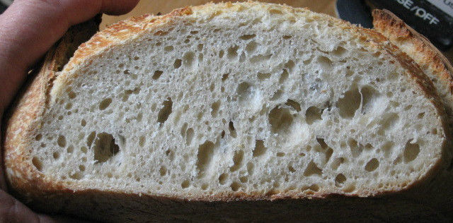 SAN FRANCISCO SOURDOUGH STARTER yeast flour mix sally  BEST SELLER NEW