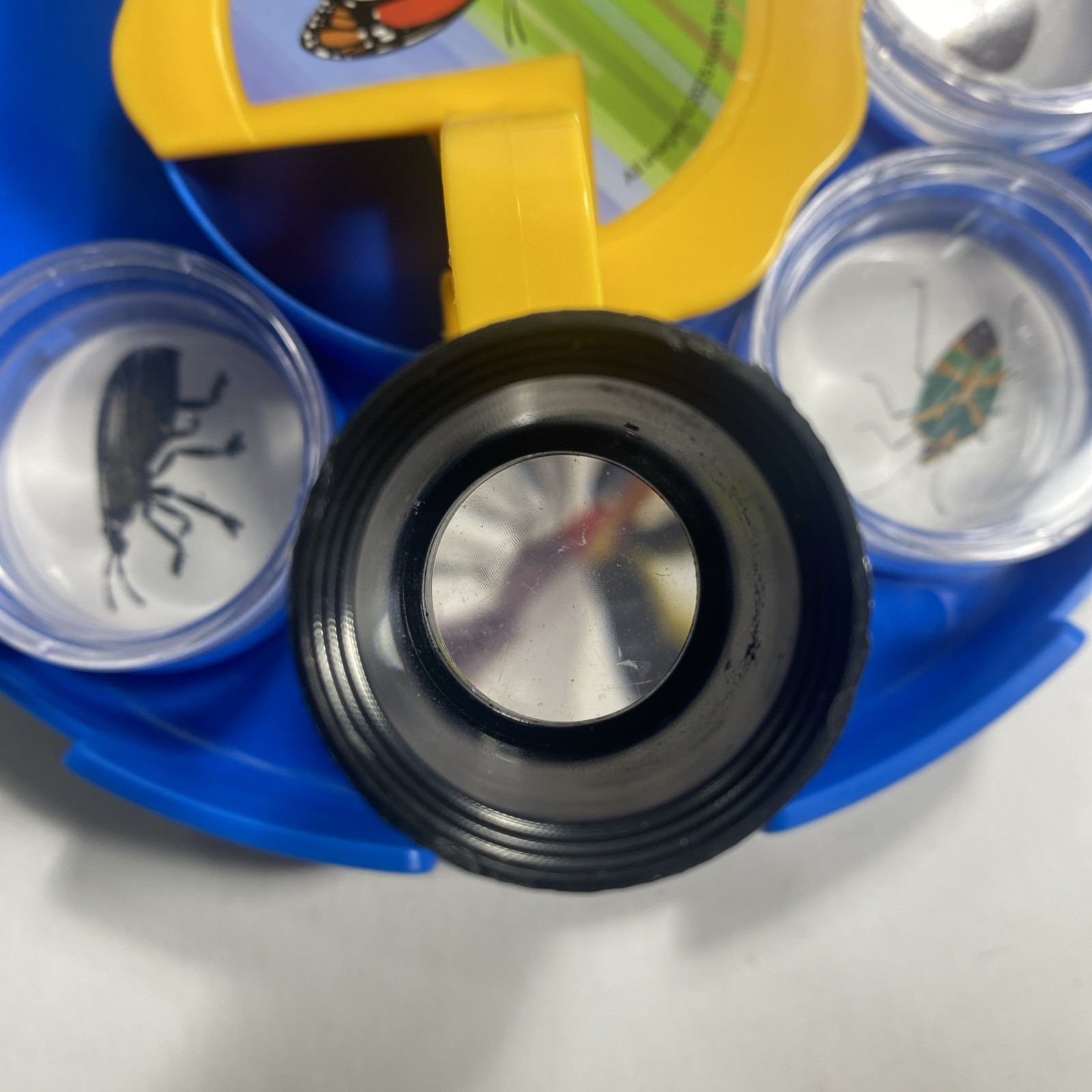 All Images Bug Viewing Kit By Kratt Brothers Ltd.