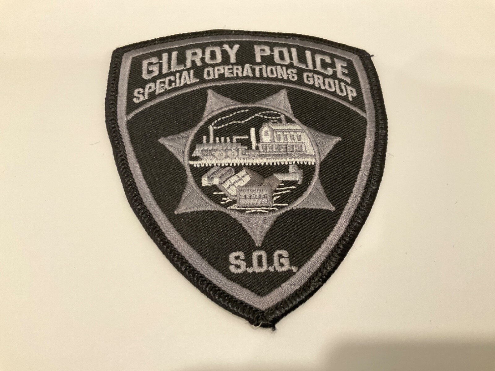 SWAT SRT Special Ops Group SOG Gilroy Police State California CA Subdued