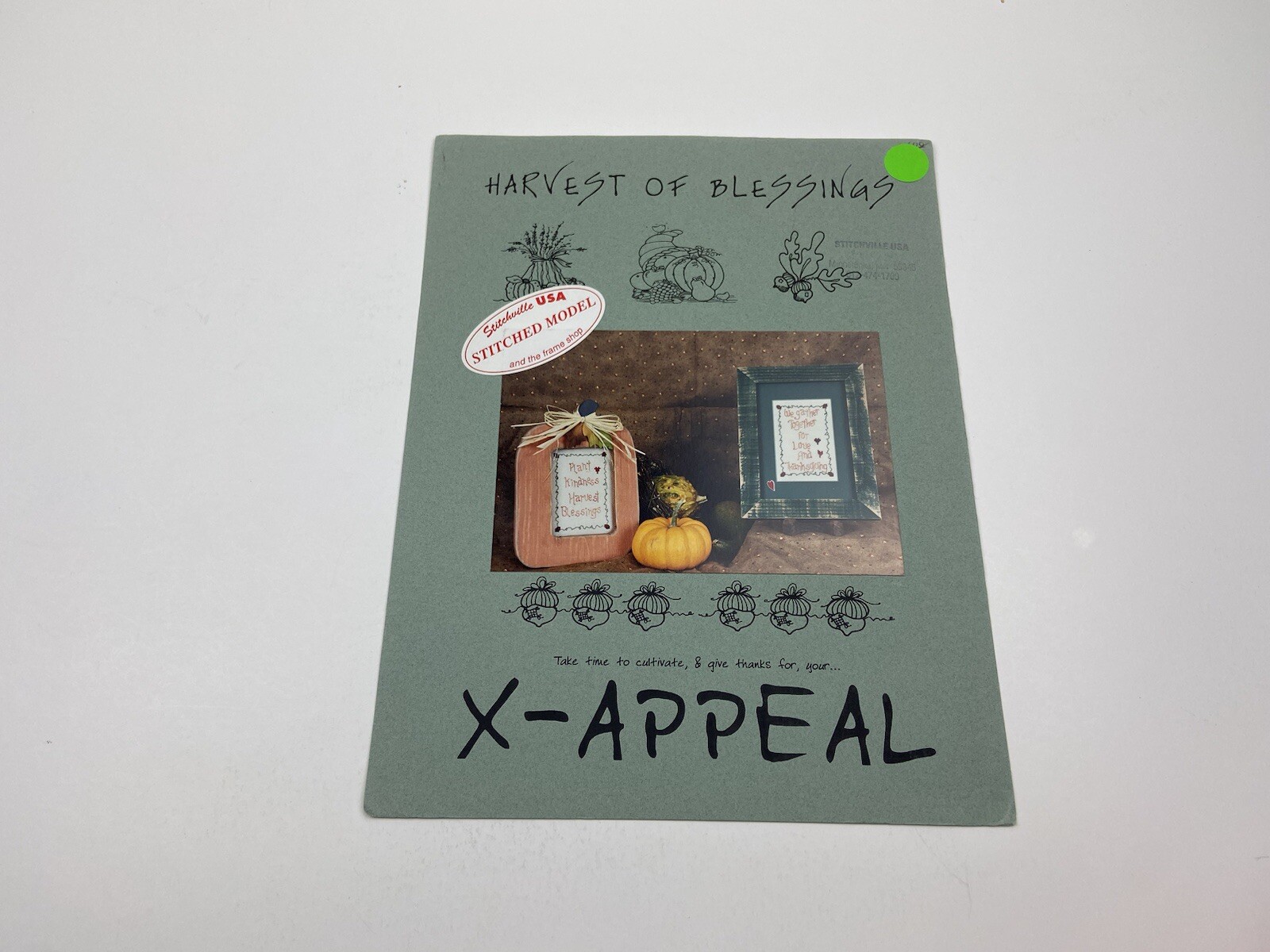 X Appeal Harvest Of Blessings Counted Cross Stitch Pattern