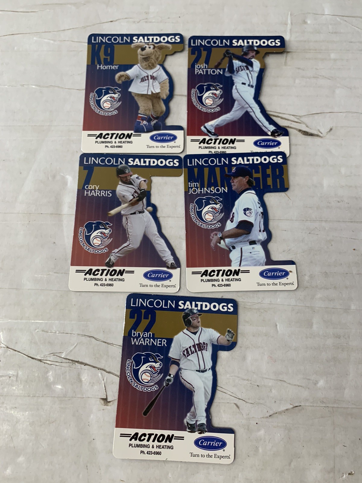 Lincoln Saltdogs Homer mascot Minor League Baseball team Refrigerator Magnet Lot