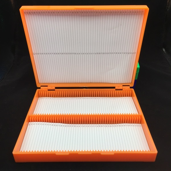 1PC Plastic Storage Box Microscope Slides Biological Slides Holder Case 100pcs