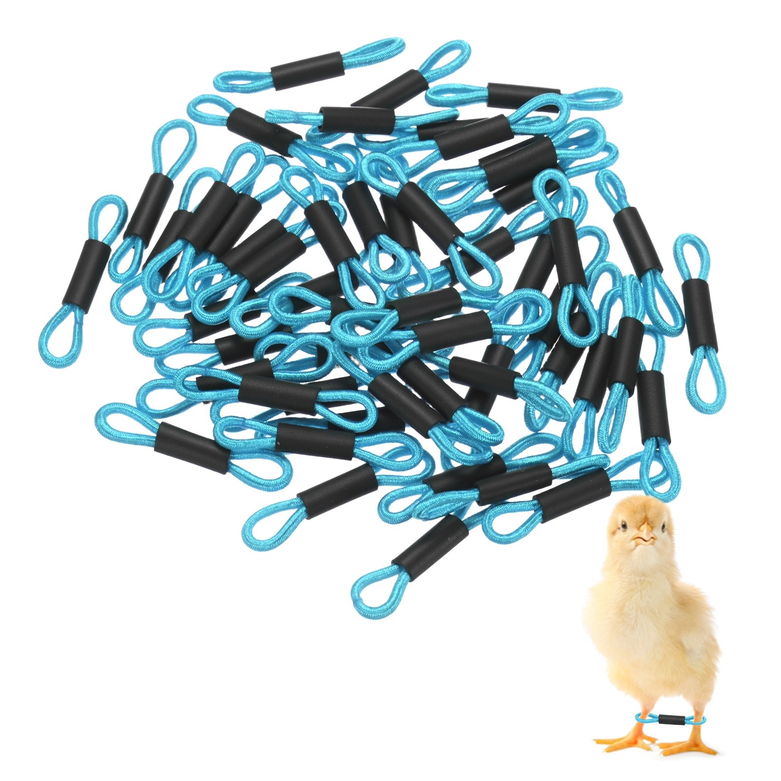 50-Pack Polyester Chick Leg Bands for Poultry/Chicks/Birds [Blue]