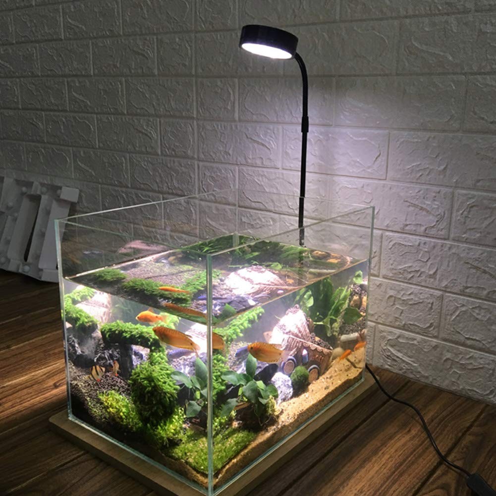 QWLWBU LED Aquarium Light 360 Degree Full 10w s / 6.69x7.28inch, White