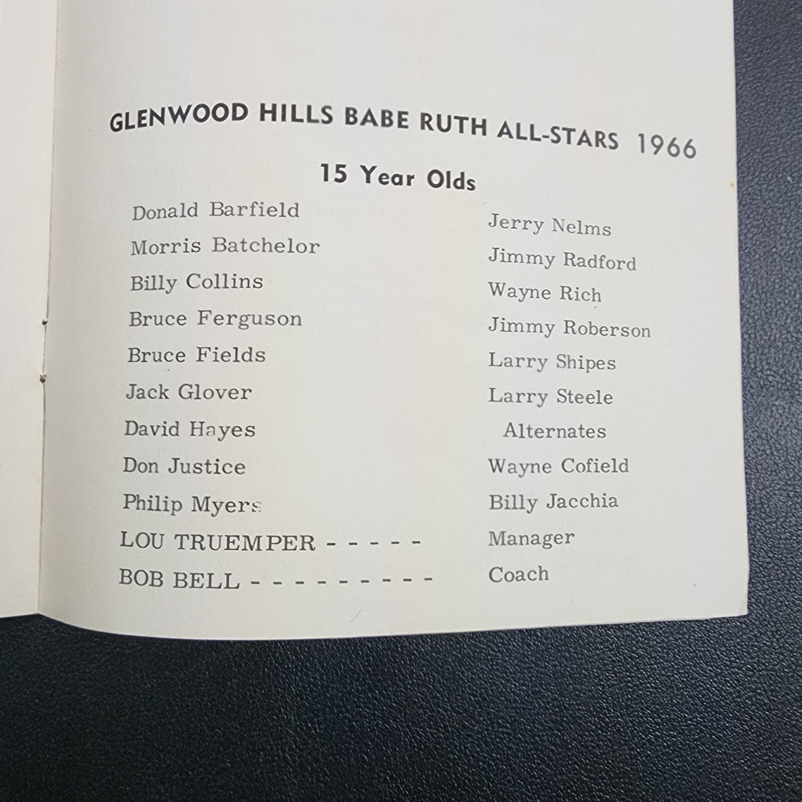 Vintage 1966 Babe Ruth Tournament Program Booklet-Dekalb Co. Georgia