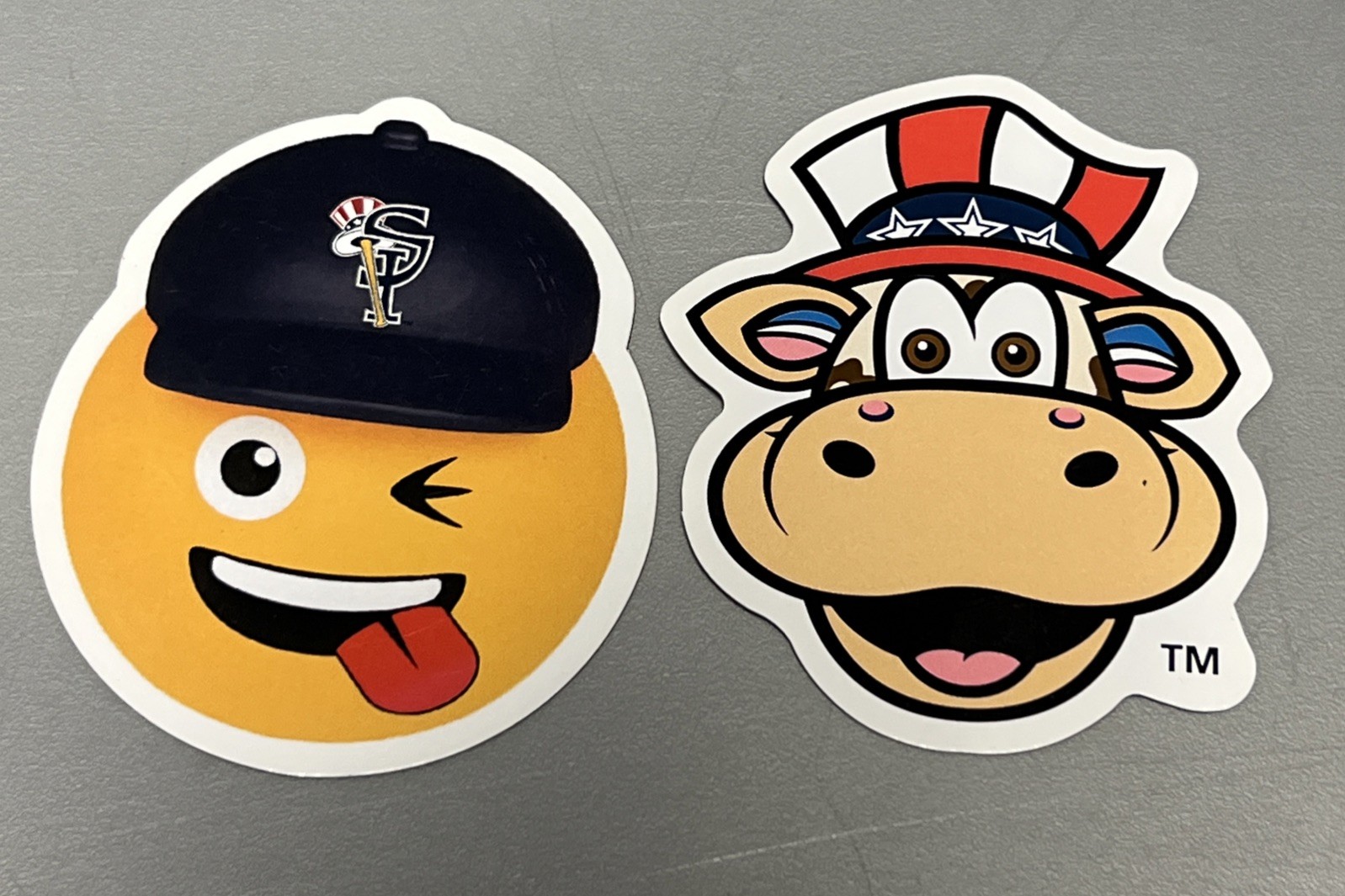 2 Brand New Vintage SI Staten Island Yankees Baseball Magnets - Scooter MILB