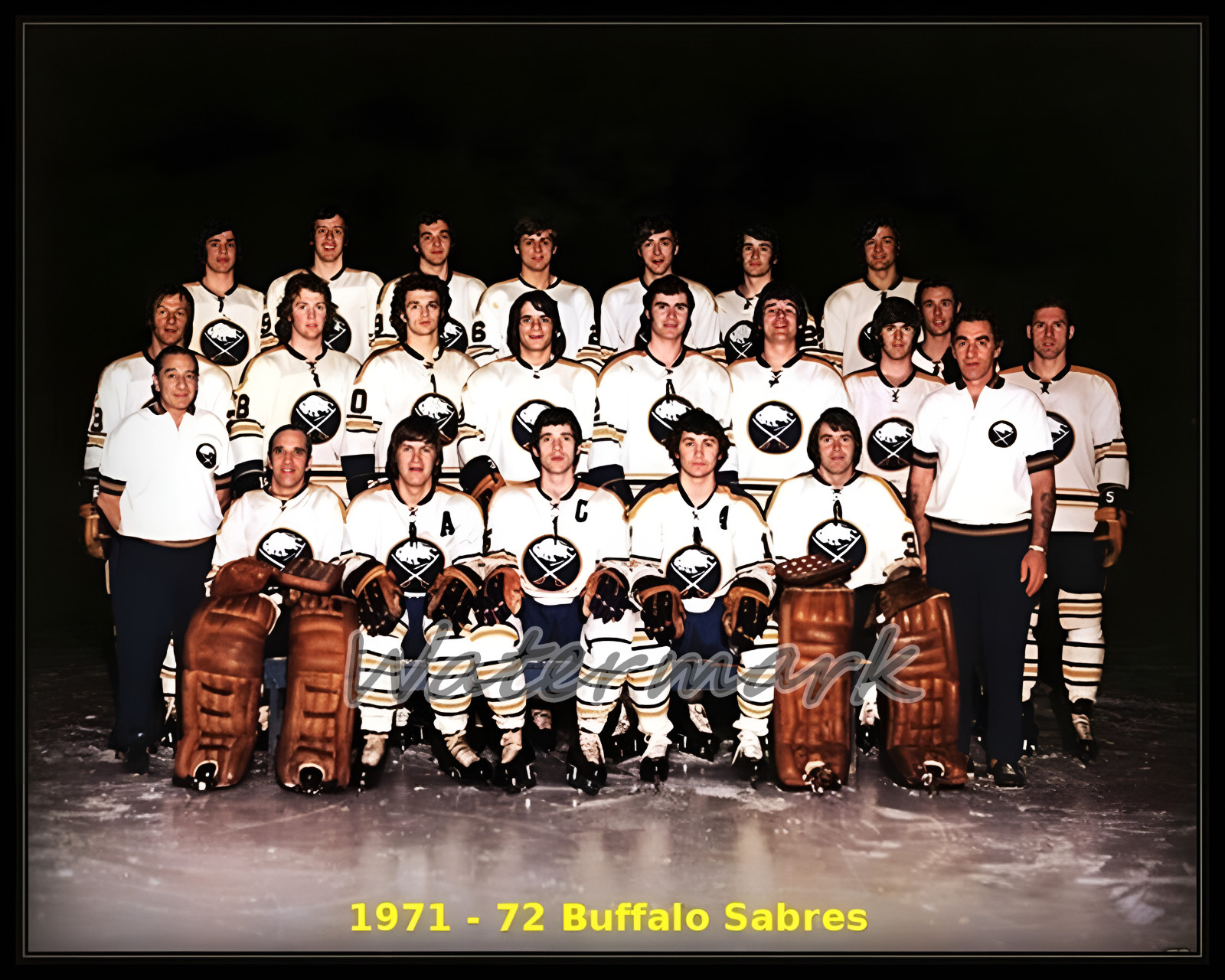 NHL 1971 - 72 Buffalo Sabres Color Team Photo Pic 8 X 10 Photo Picture