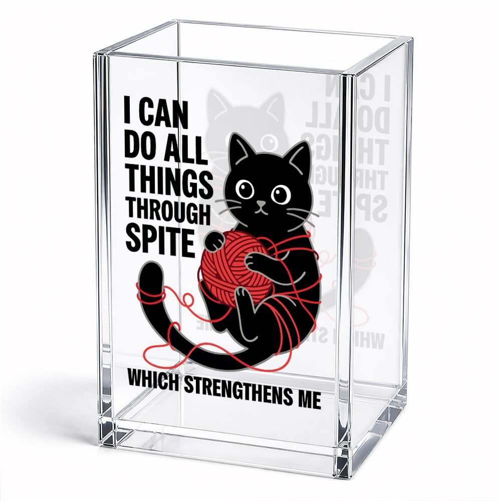 I Can Do All Things Through Spite Which Strengthens Me Acrylic Pencil Holder ...