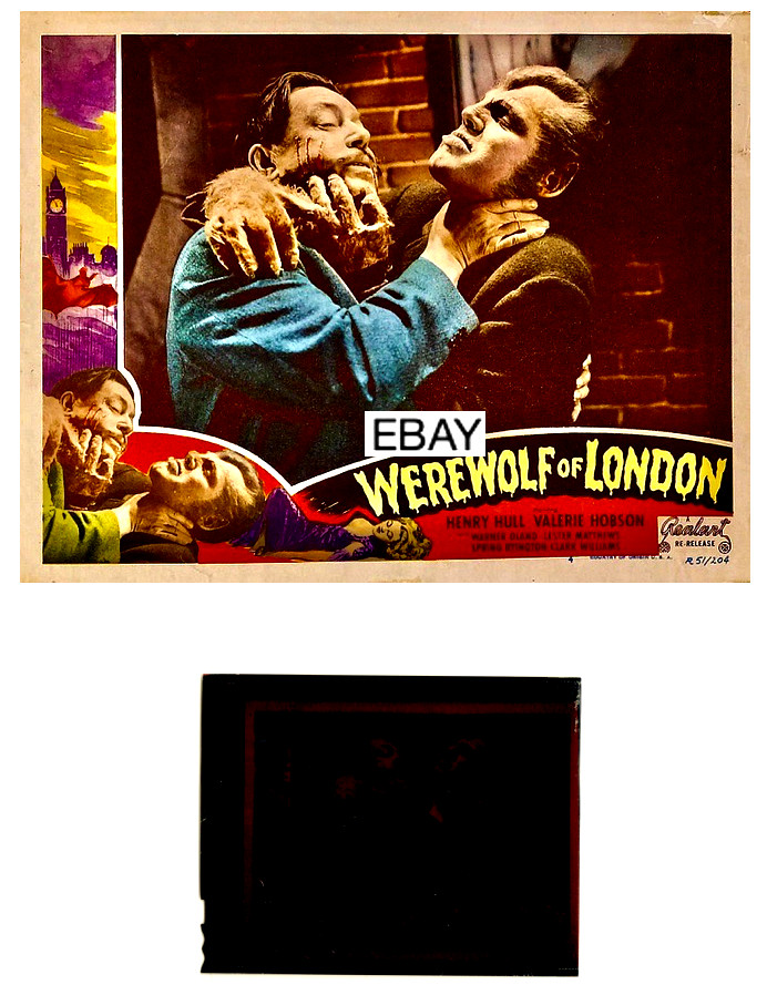 SALE: 1935 WEREWOLF OF LONDON MOVIE TRANSPARENCY F J ACKERMAN FAMOUS MONSTERS