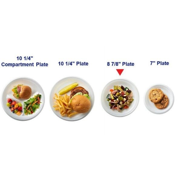 Great Value Foam Plates 9in 150ct – White, Soak Proof Disposable Plates