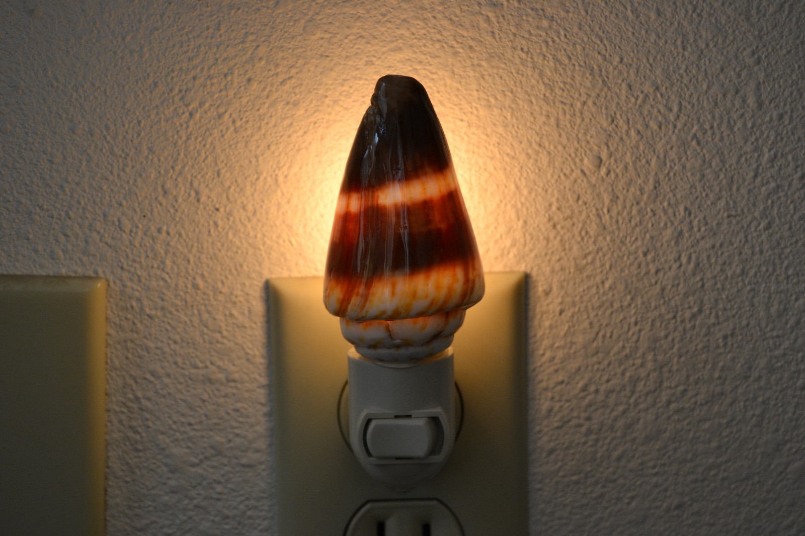 ORANGE RINGED CONE SEA SHELL NIGHT LIGHT BATHROOM KITCHEN #7253