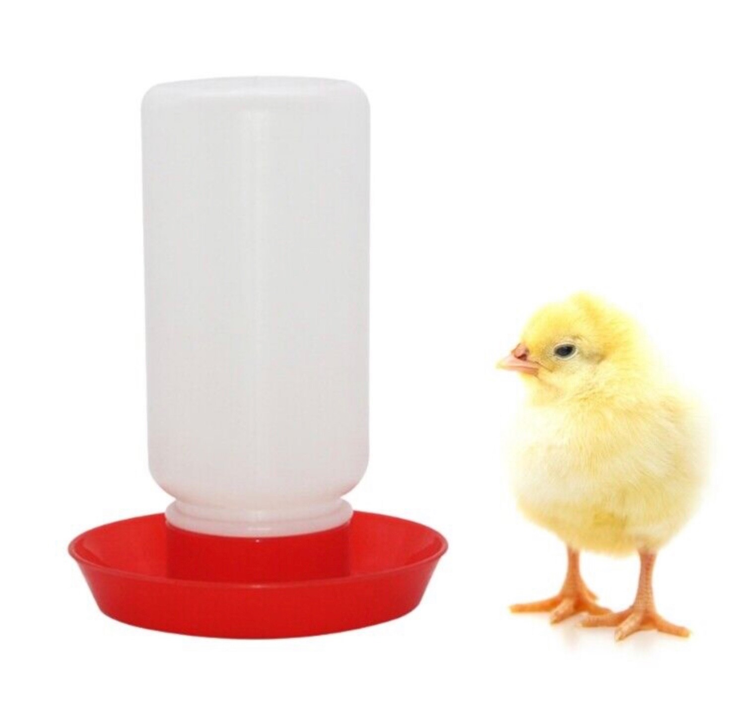 1  Quart Plastic Water Set Red Base and Bottle Chicken, Ducks, Poultry, Chicks