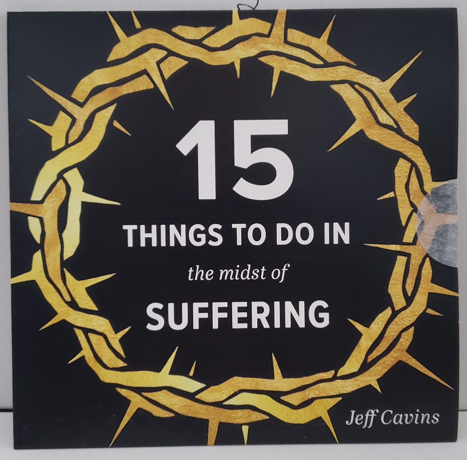 15 Things To Do In The Midst Of Suffering By Jeff Cavins - New - FREE SHIPPING