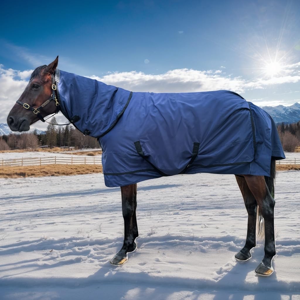 Turnout Horse Blanket with Hood | Medium Weight Winter Horse Blanket
