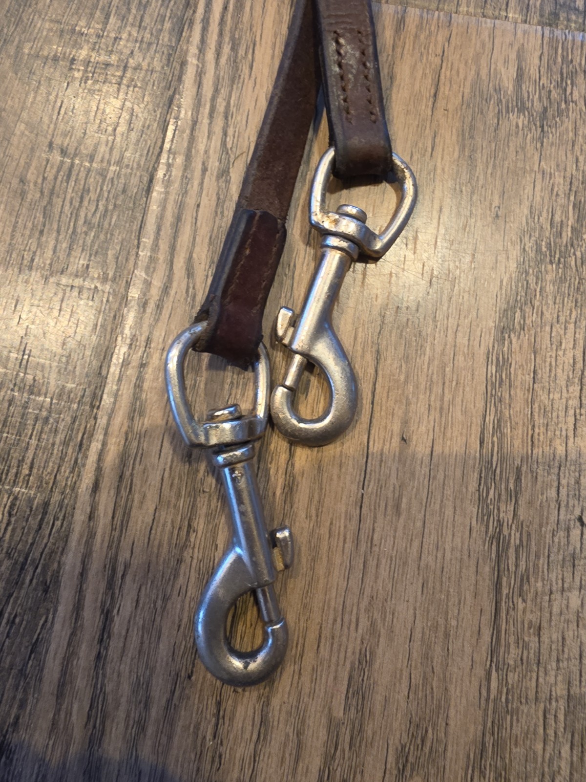 Horse Reins