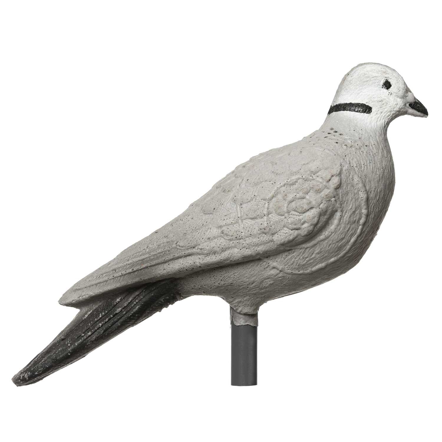 IBB 3D Animal Pigeon