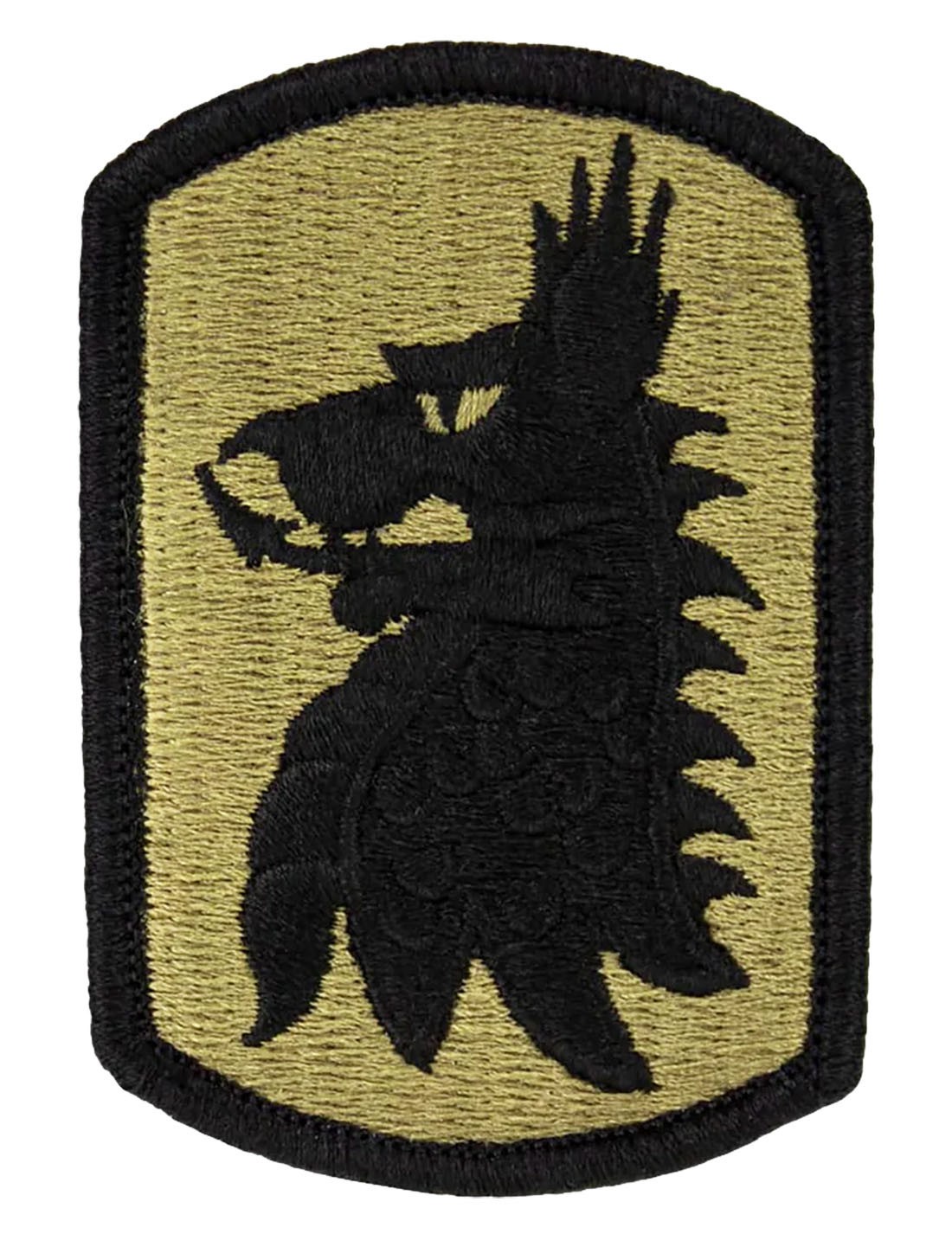 455th Chemical Brigade OCP Patch (Military Issued)-Veteran Owned Business