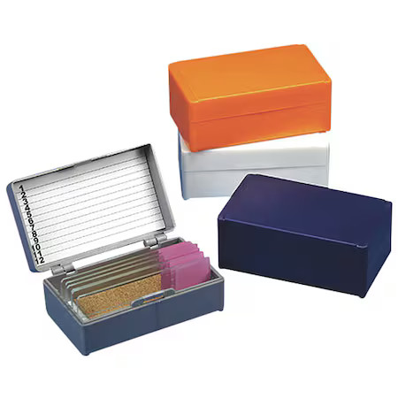 Globe Scientific 513072Ast Microscope Slide Box, Blue/Gray/Or/Wt, Pk5