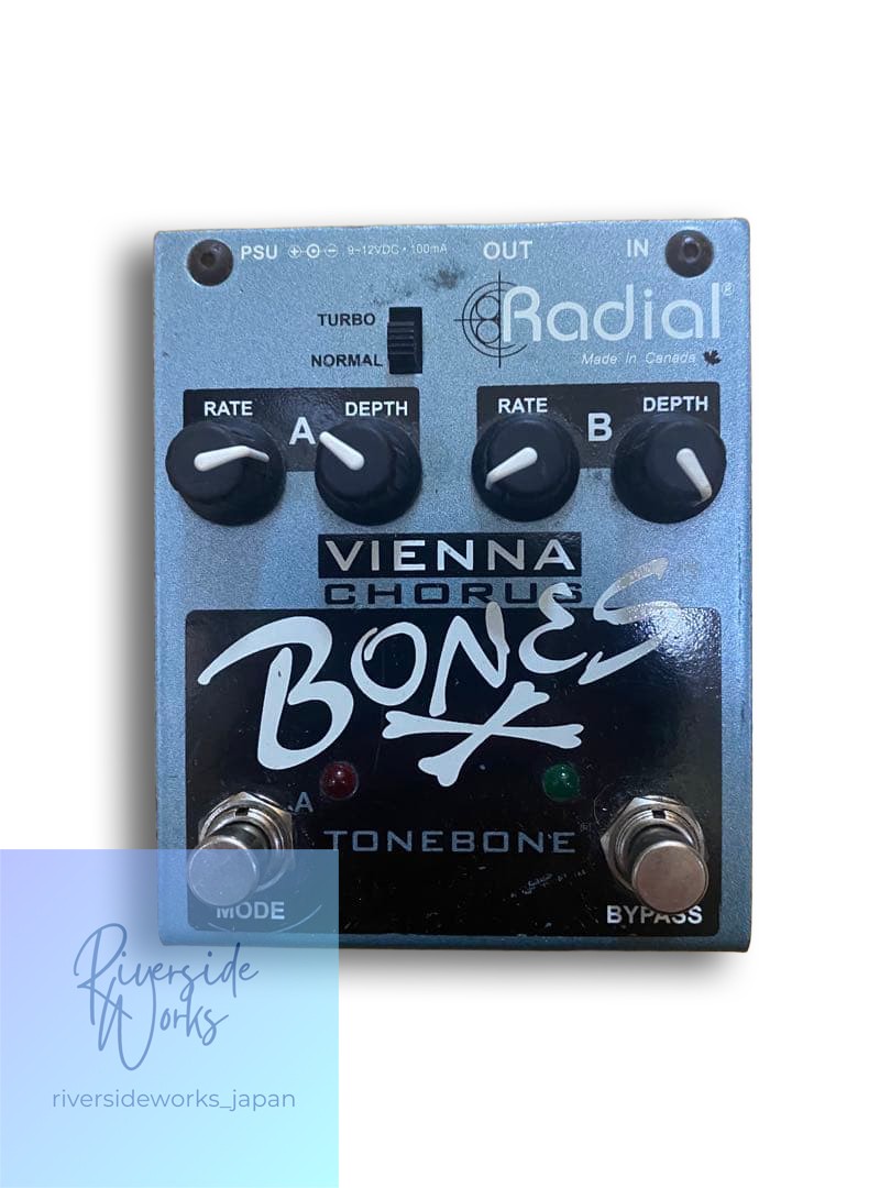 Radial bones Vienna Chorus