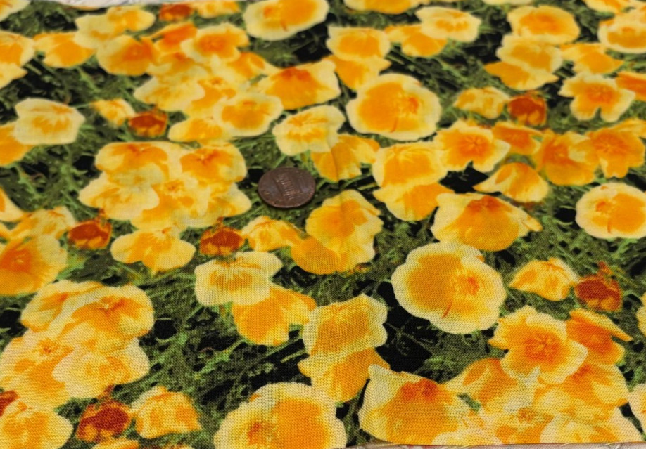 California Golden Poppies on Field of Green*Paintbrush Studio*100% Cotton*8"x22"