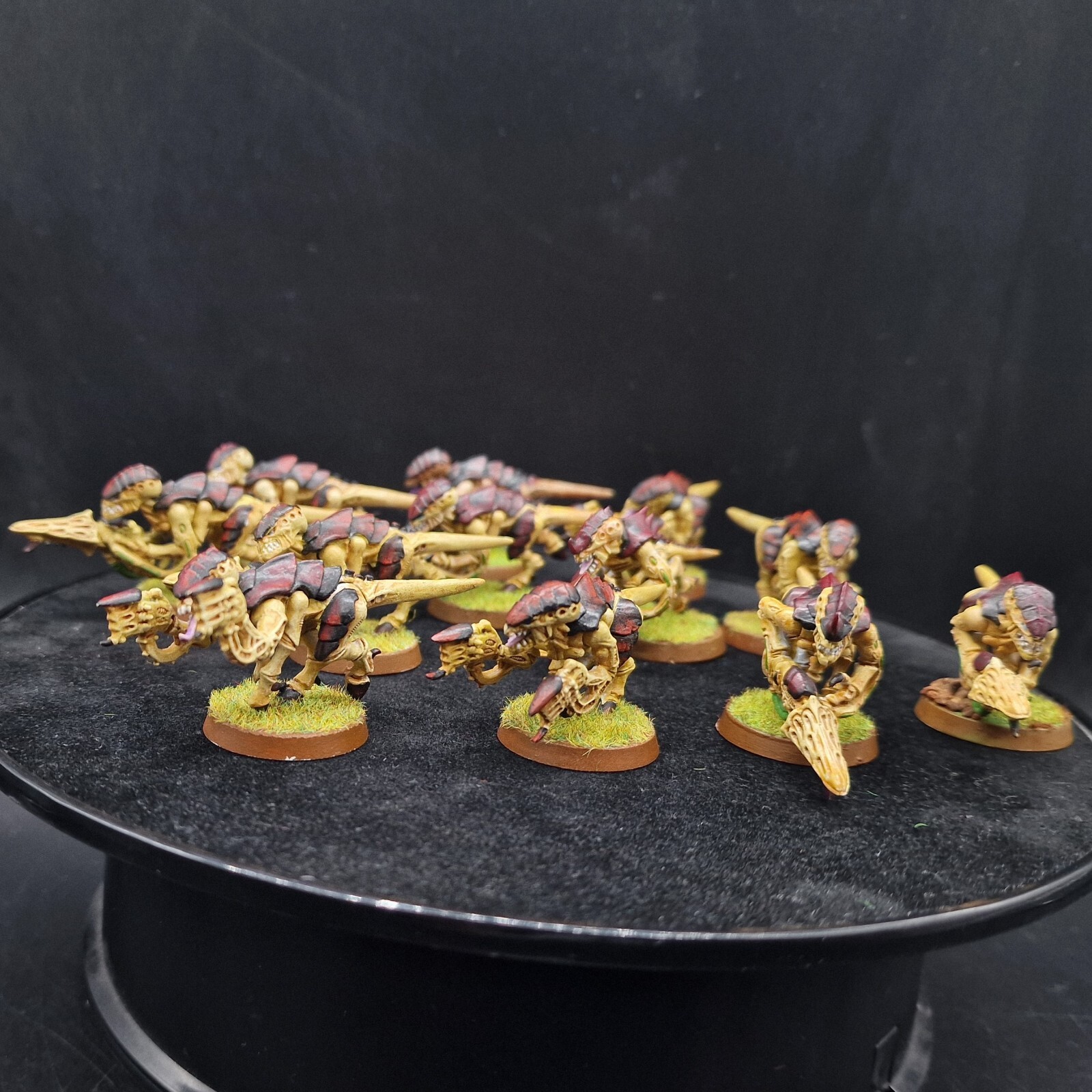 Pro Painted Warhammer 40k Tyranid Termigants ×12 E7 games workshop tyranids