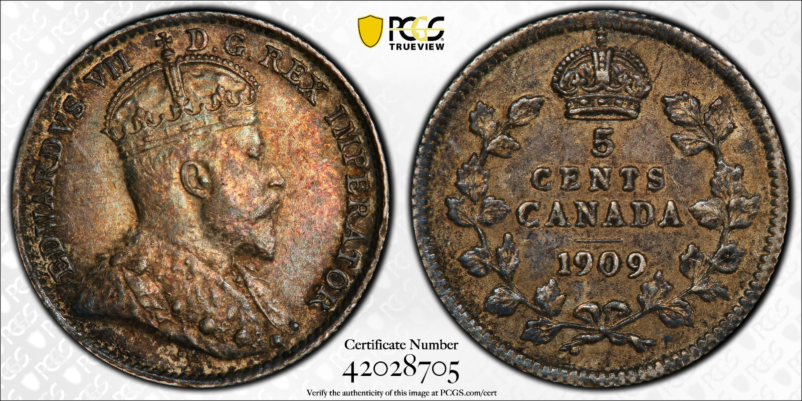 Canada 5 Cents 1909 Round Leaves Cross / Bow Tie Nice Luster AU 55