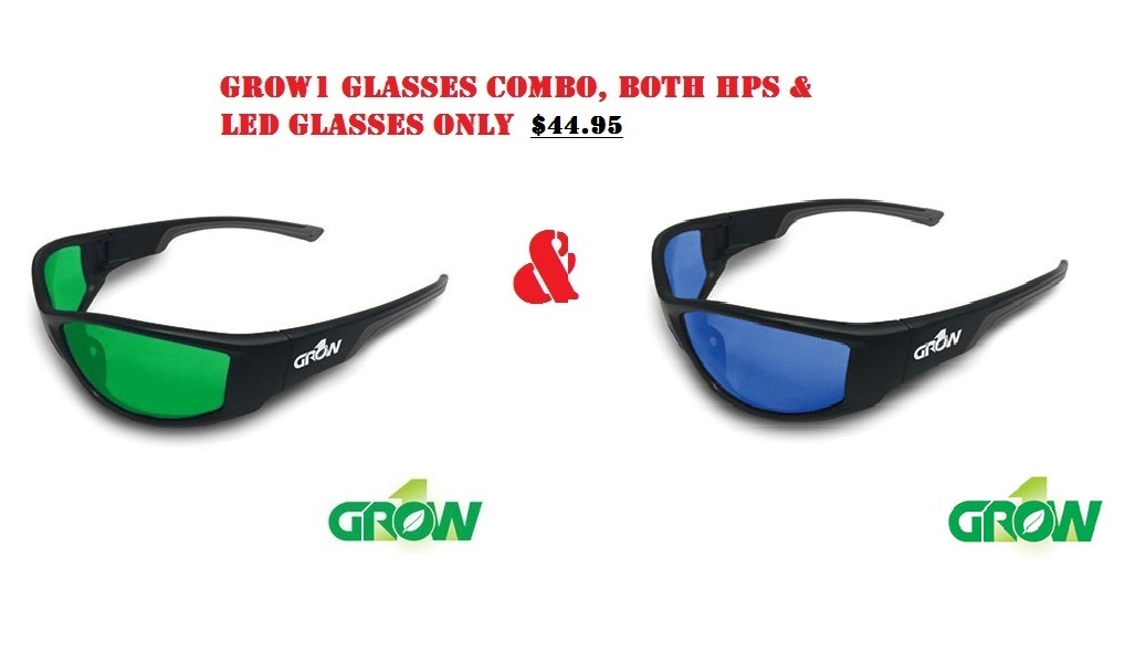 GROW1 Gruve Glasses, Get HPS & LED COMBO Grow Room Style SAVE $$ W/ BAY HYDRO $$