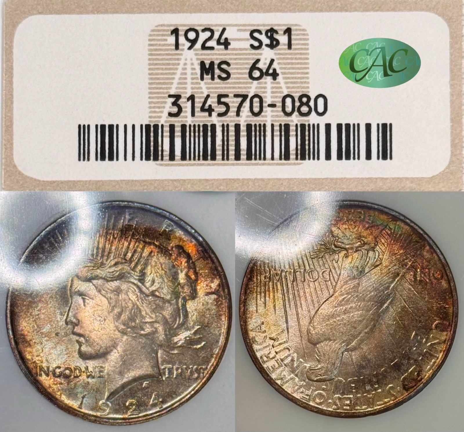 MS64 CAC 1924 $ Peace Silver Dollar, NGC Old Fatty Holder- Luster Rainbow Toned