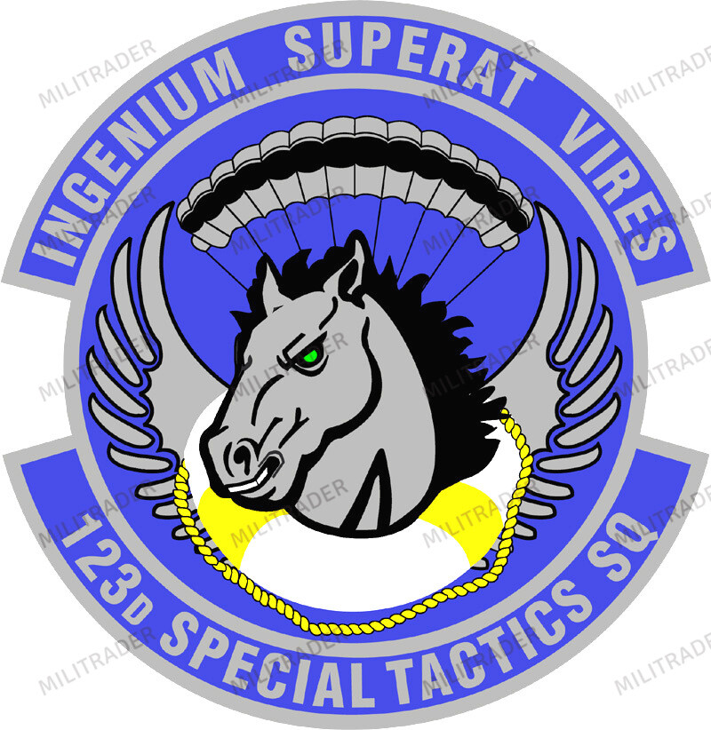 USAF 123rd Special Tactics Squadron Self-adhesive Vinyl Decal