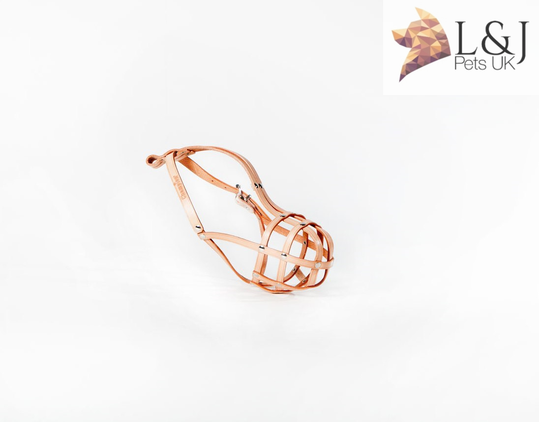 Light Leather dog Muzzle Continental Toy Spaniel Papillon & similar snouts ,3