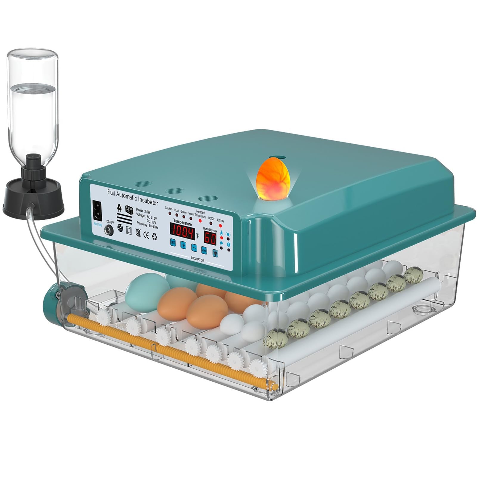 Coinceptus Incubators Hatching 36 Eggs Automatic Egg Turning And Humidity