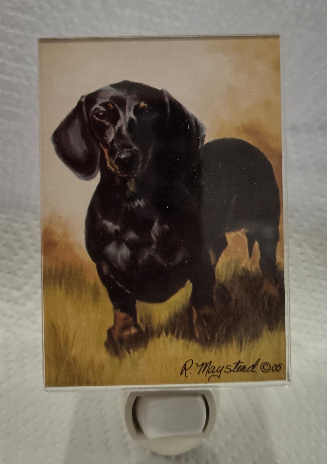Black Dachshund Night Light by Ruth Maystead-Clip on Picture-Polarized Plug-Bulb