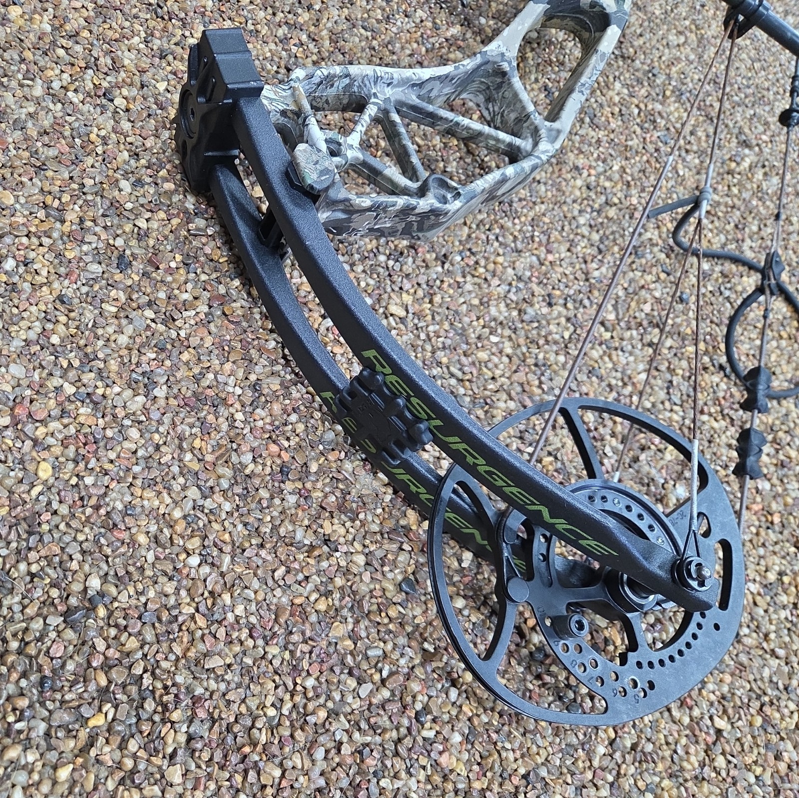 Bear Resurgence Compound Bow 70lbs RH