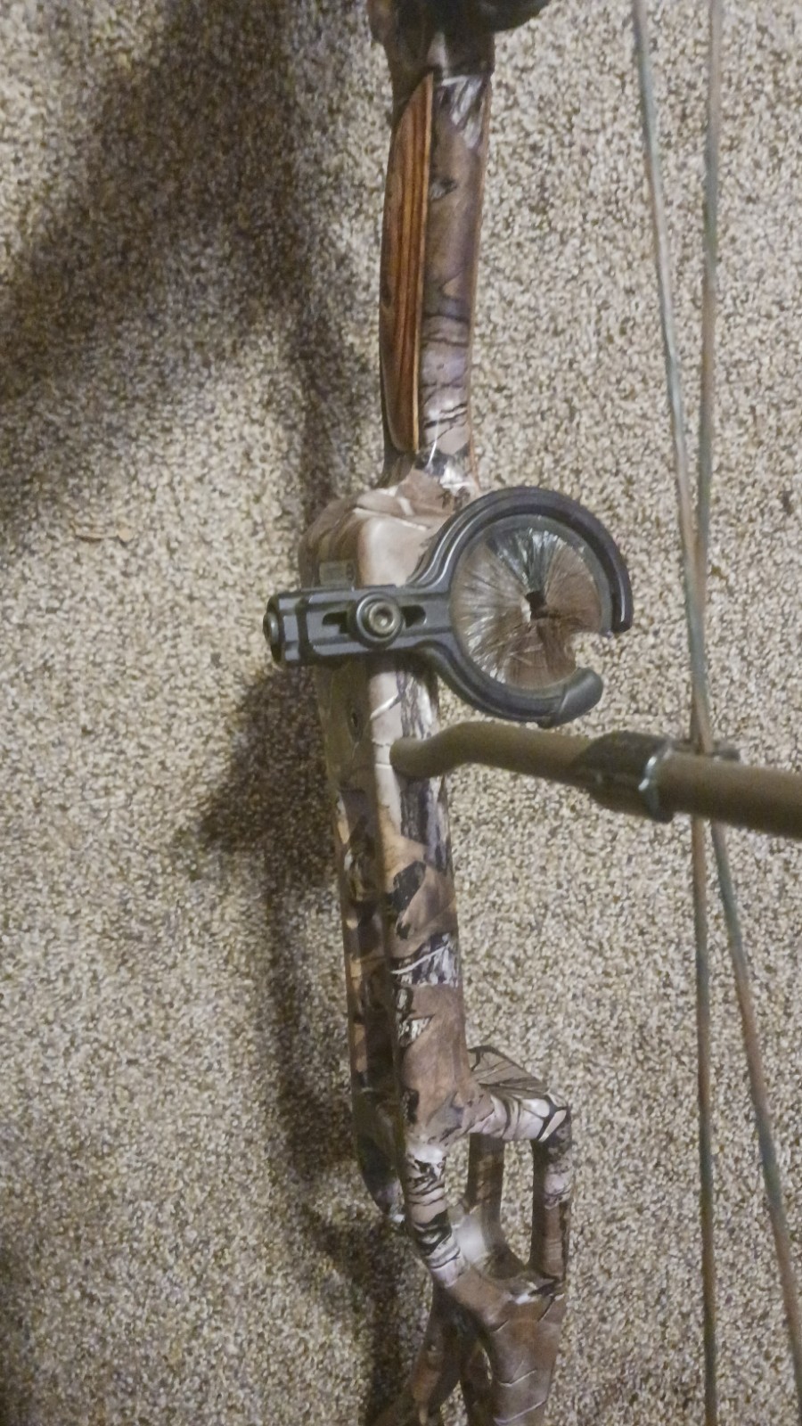 elite compound bow right hand