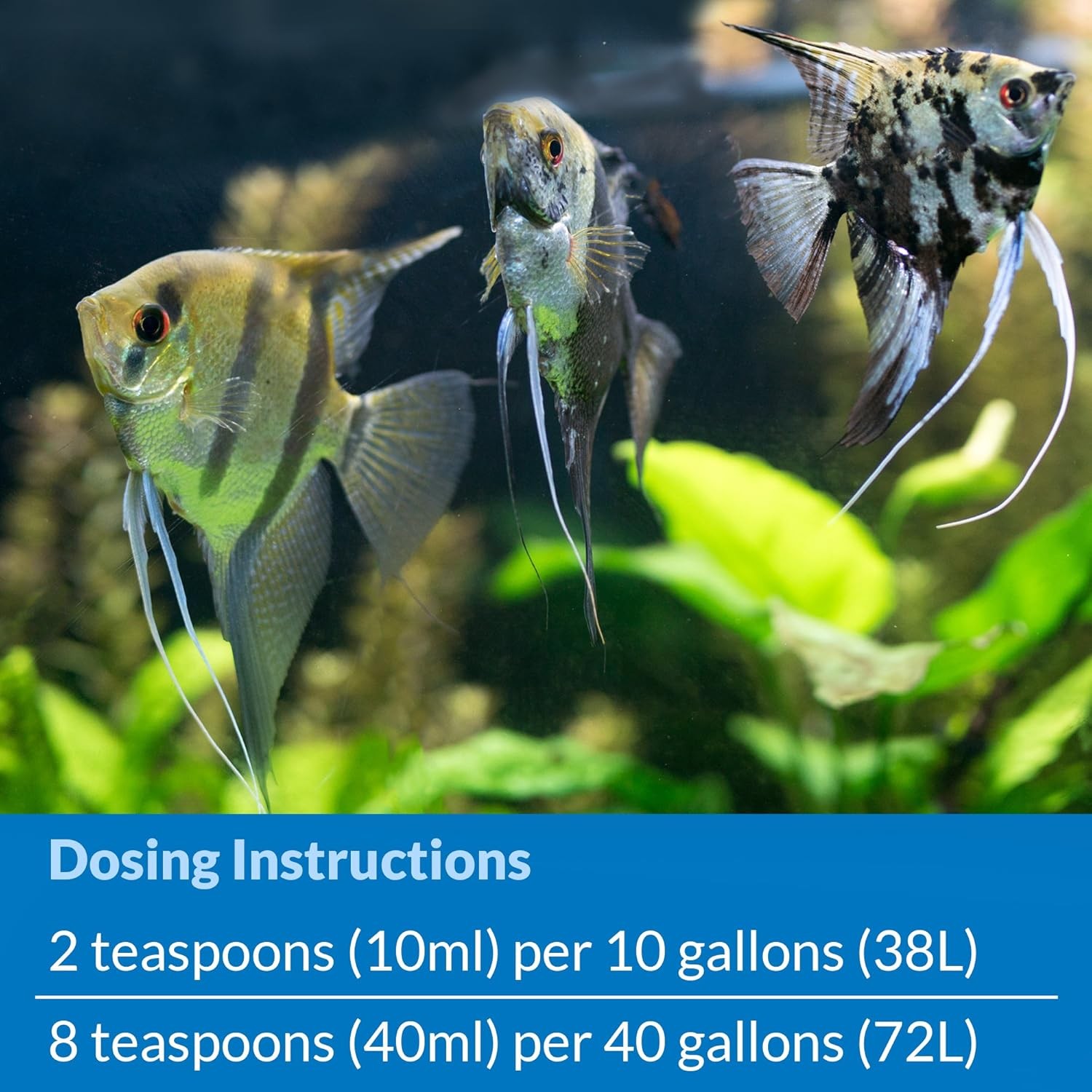Aquarium Nitrifying Bacteria