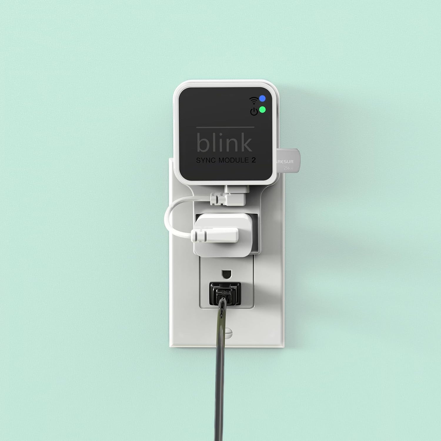 256GB USB Flash Drive for Local Video Storage with the Blink Sync Module 2 Mount