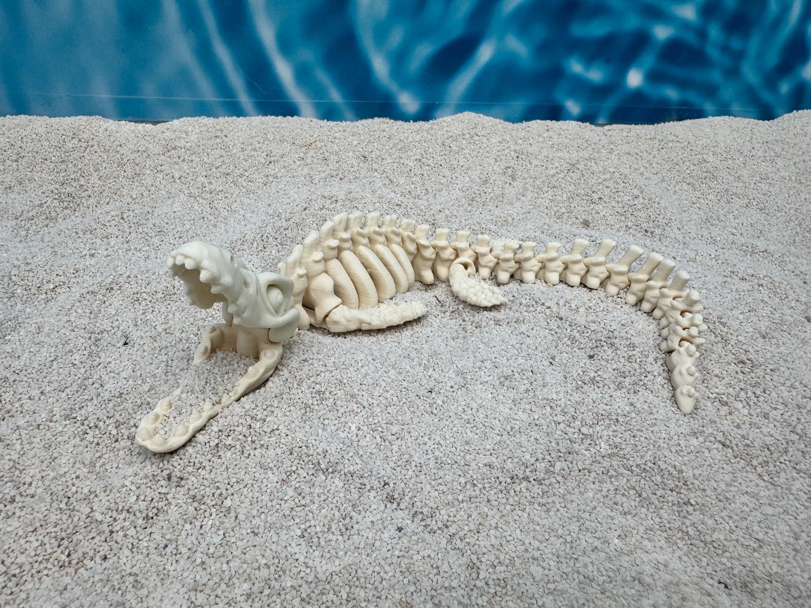 Mosasaur Skeleton Aquarium Decor