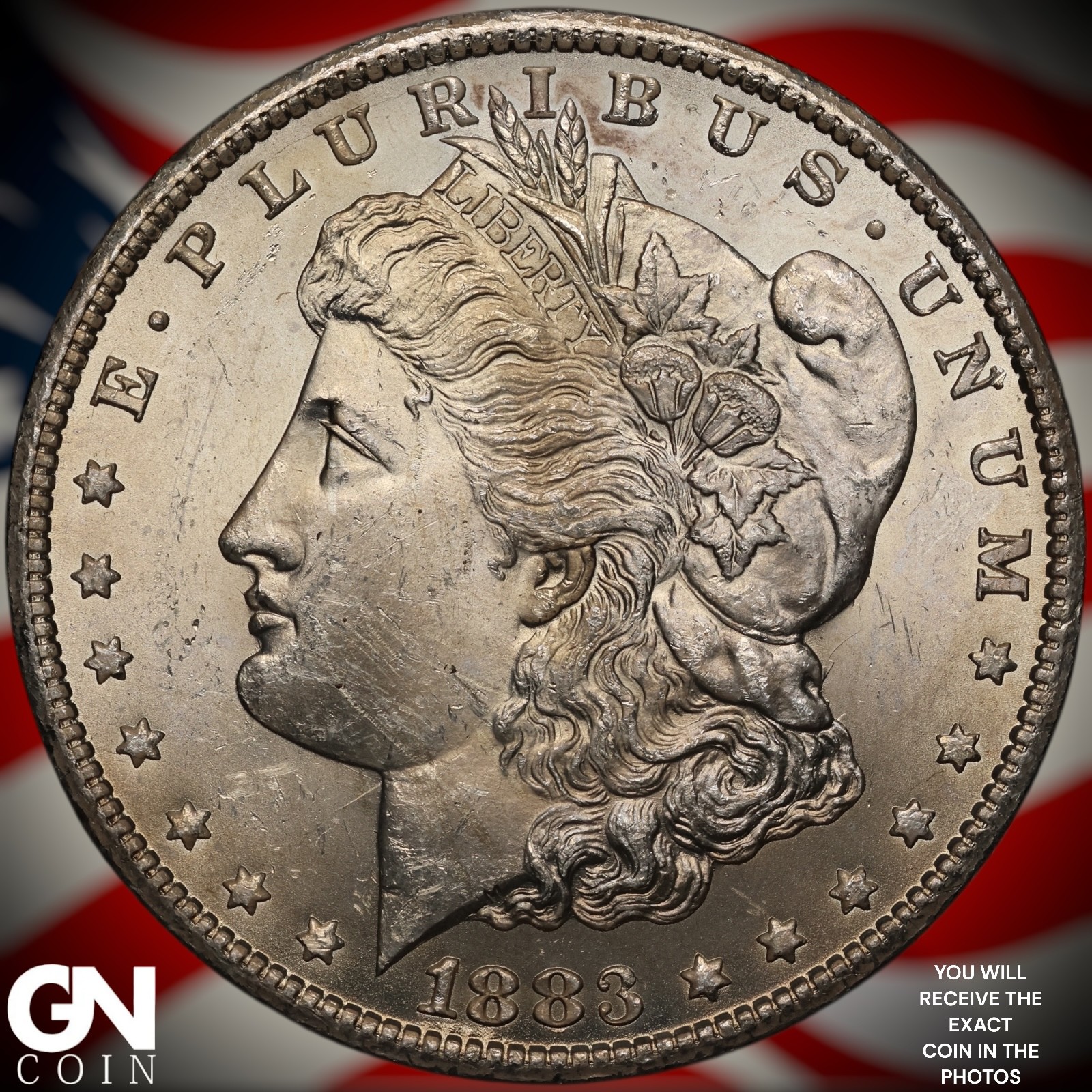1883 CC Morgan Dollar A3193