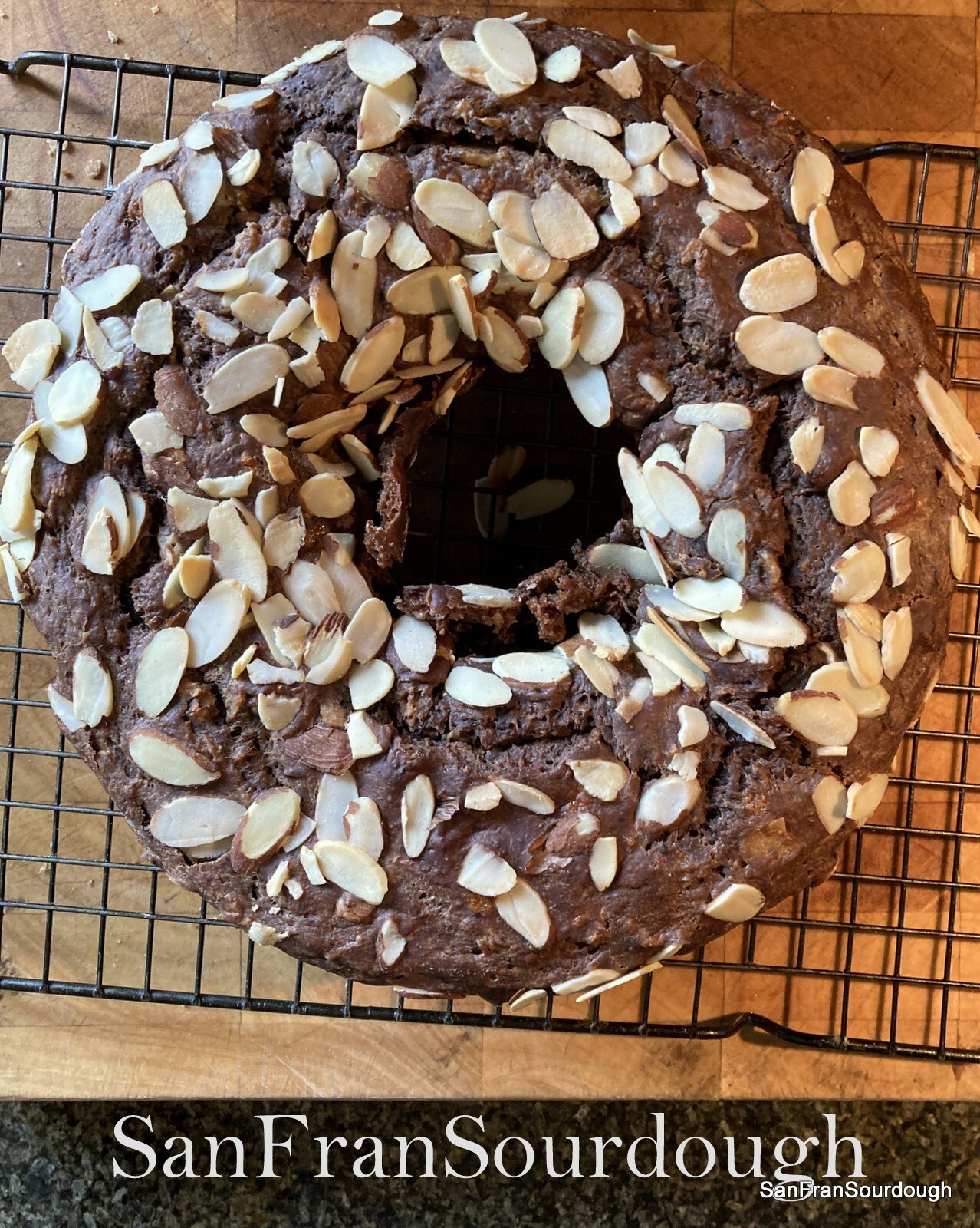Active Dried Sourdough Starter San Francisco Yeast Bacteria baking bread